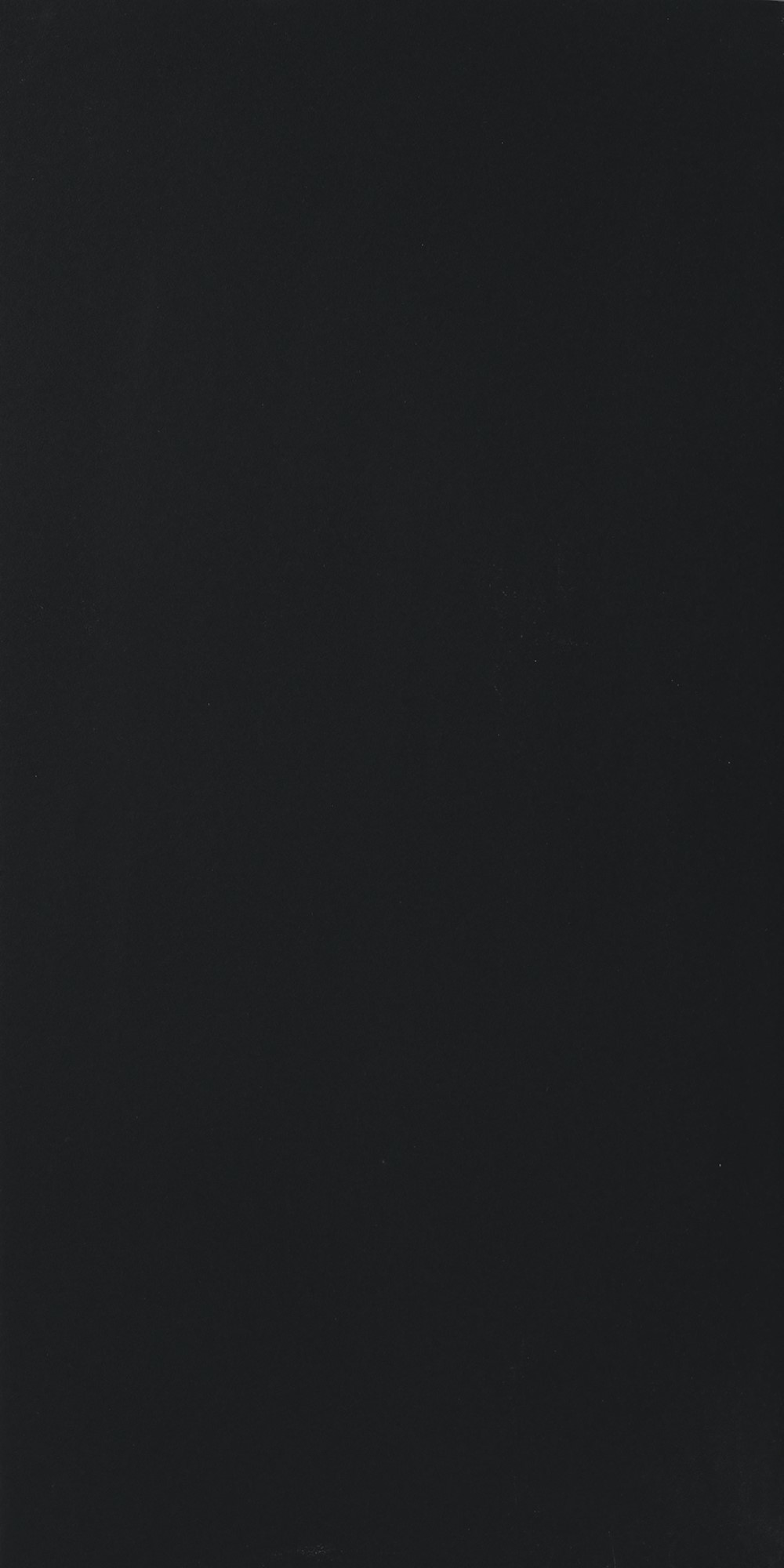 PARK HILL Bodenfliese poliert 120x240cm Schwarz poliert